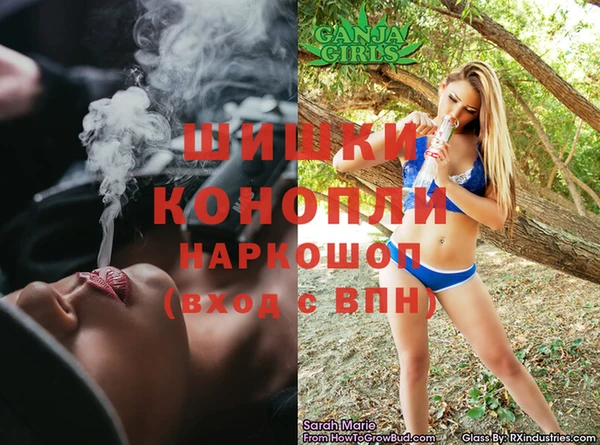 apvp Алексин