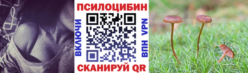 Псилоцибиновые грибы мухоморы  сколько стоит  Саки 
