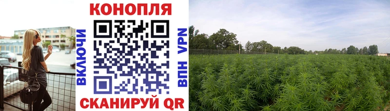 Конопля Amnesia  продажа наркотиков  Саки 